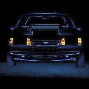 Meet your Posher, Wayne